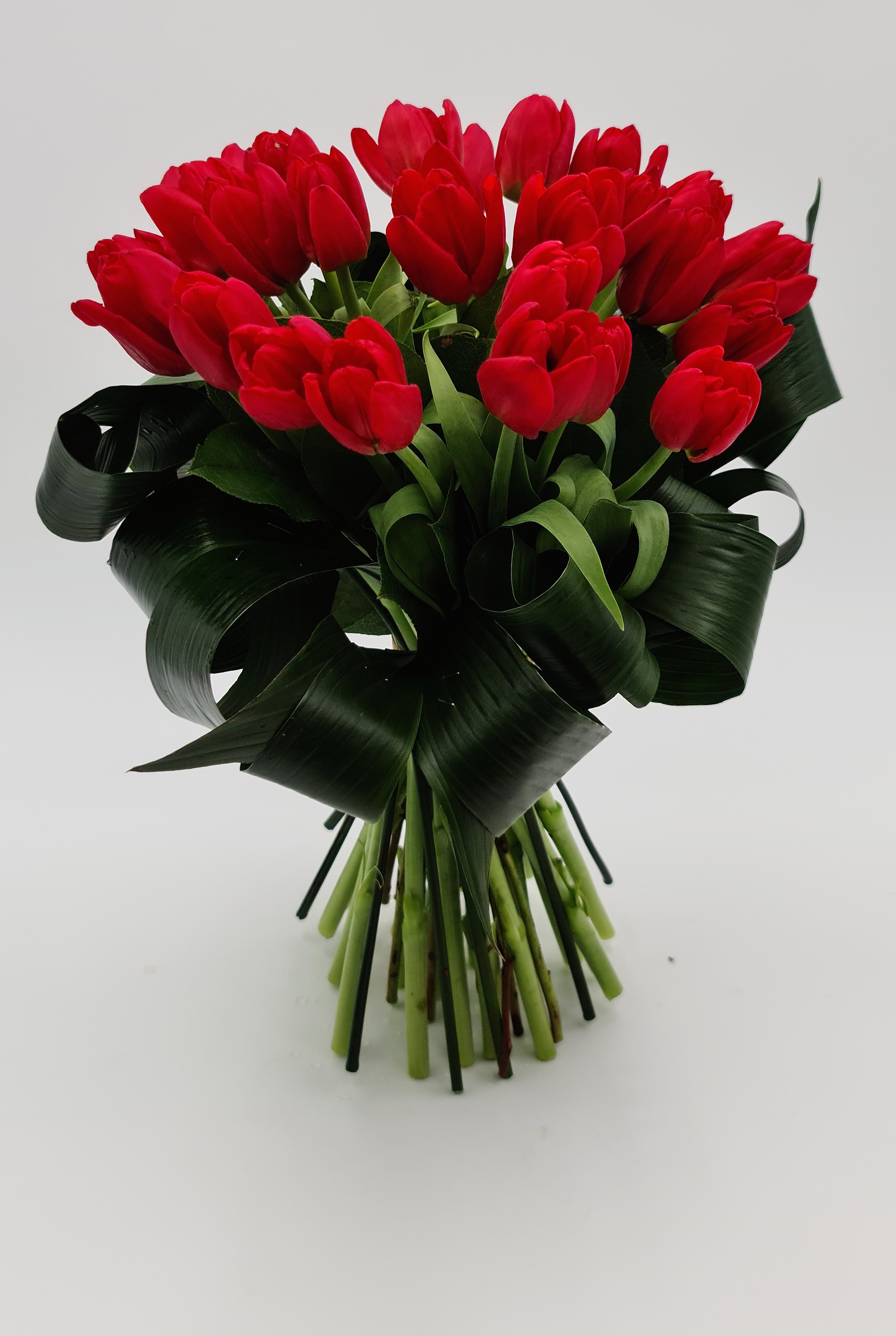 Buchet lalele rosii din flori proaspete (25 lalele)