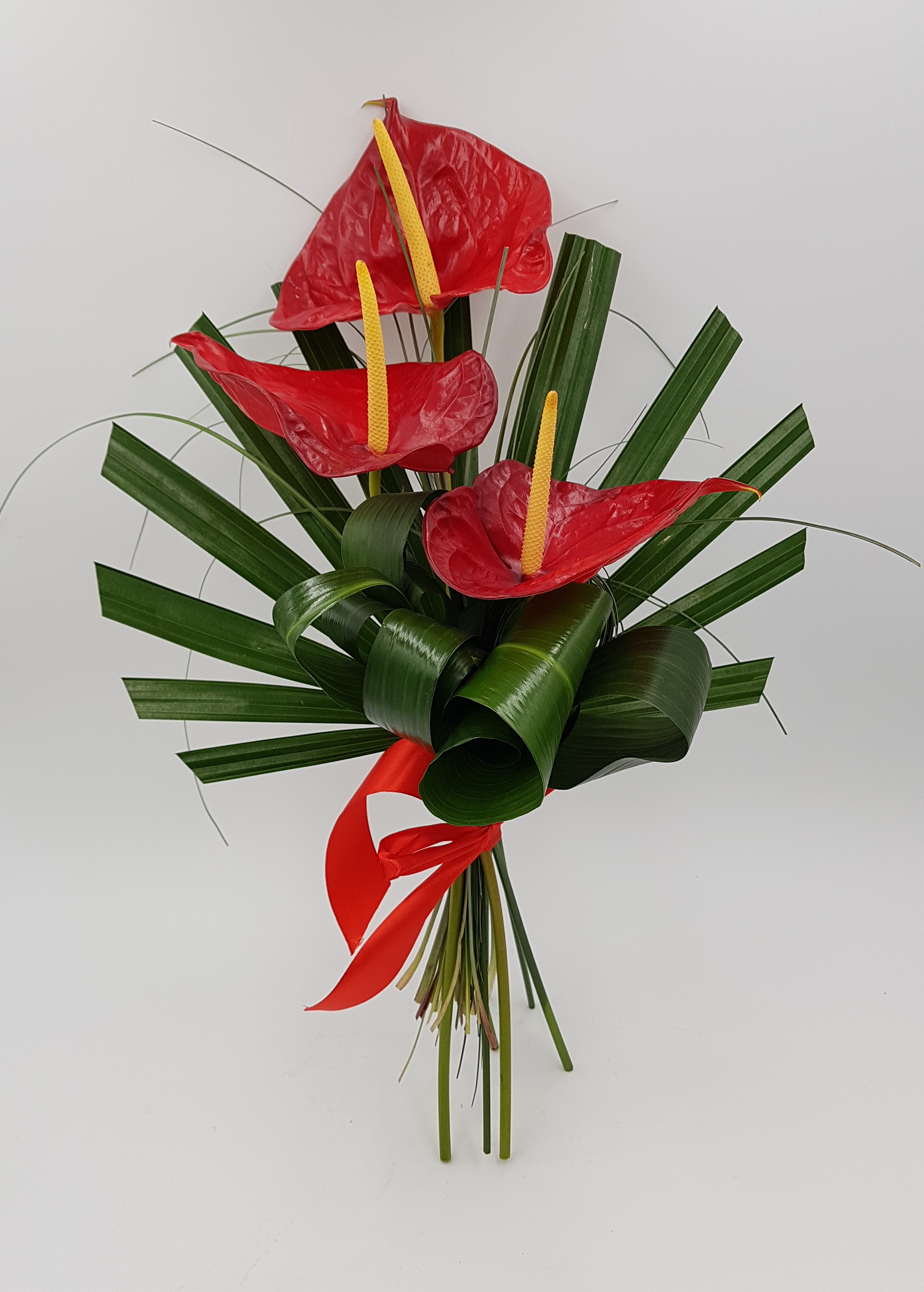 20200929_150202_enarqh.jpg